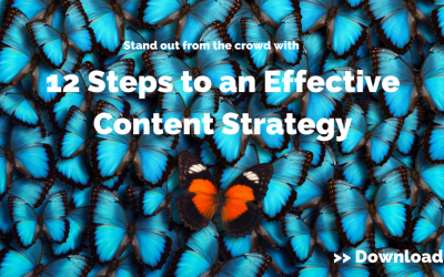 Video: SEO Basics – Everything Your Brand Needs to Know